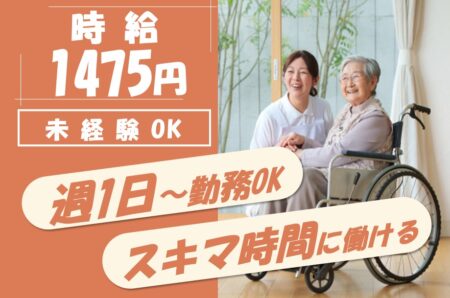 訪問介護の介護職 