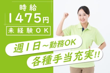 訪問介護の介護職 