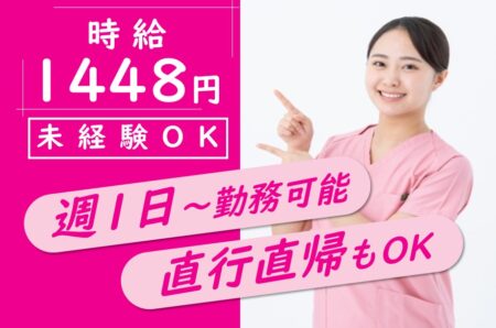 訪問介護の介護職 