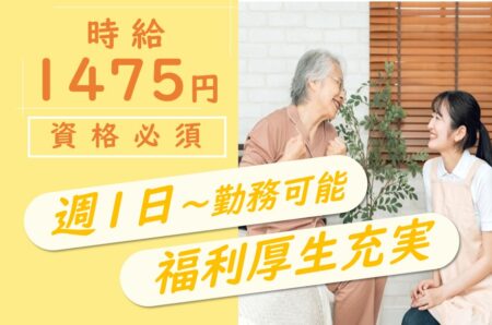 訪問介護の介護職