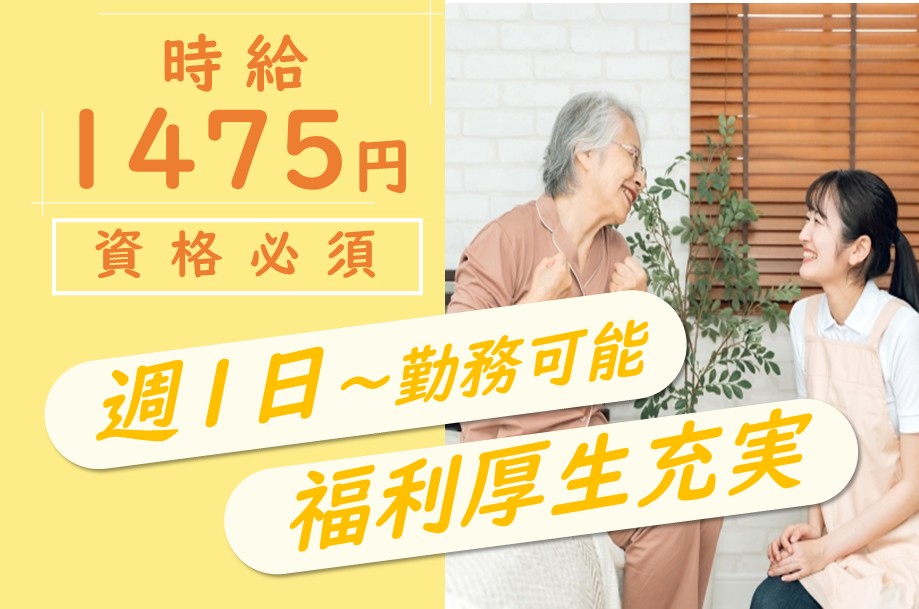 訪問介護の介護職
